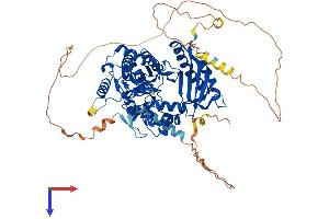 POLH Protein (AA 1-694) (His tag)