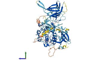 Protein Structure (PS) image for Protein Kinase C, delta (PKCd) (AA 1-674) protein (His tag) (ABIN7563069)