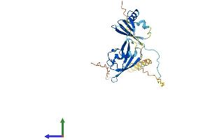 AlphaFold protein structure predicition of Human Recombinant UBXN2A Protein, UniprotID P68543