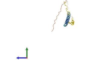 Protein Structure (PS) image for Nerve Growth Factor Receptor (TNFRSF16) Associated Protein 1 (NGFRAP1) (AA 1-111) protein (His tag) (ABIN7552563)