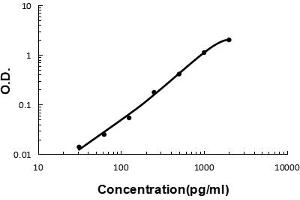 Sandwich ELISA - Recombinant mouse BMP2 protein standard curve.