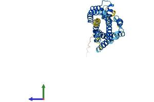 Protein Structure (PS) image for Purinergic Receptor P2Y, G-Protein Coupled, 10 (P2RY10) (AA 1-328) protein (His tag) (ABIN7558499)