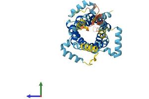 AlphaFold protein structure predicition of Human Recombinant SLC25A40 Protein, UniprotID Q8TBP6