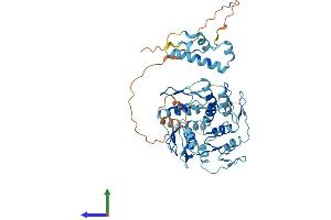Protein Structure (PS) image for Zinc Finger, Imprinted 3 (ZIM3) (AA 1-472) protein (His tag) (ABIN7545633)