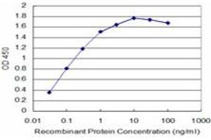 Detection limit for recombinant GST tagged TAOK3 is approximately 0. (TAO Kinase 3 Antikörper  (AA 809-898))