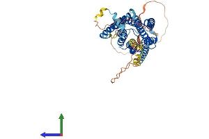 Protein Structure (PS) image for G Protein-Coupled Receptor 63 (GPR63) (AA 1-419) protein (His tag) (ABIN7548043)