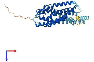 P2RY6 Protein (AA 1-328) (His tag)