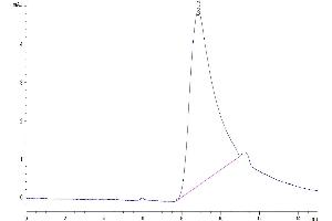 Size-exclusion chromatography-High Pressure Liquid Chromatography (SEC-HPLC) image for CD83 (CD83) (AA 20-143) protein (His tag) (ABIN7274248)