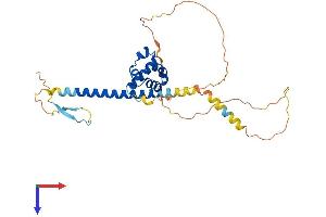 SCML1 Protein (AA 1-329) (His tag)