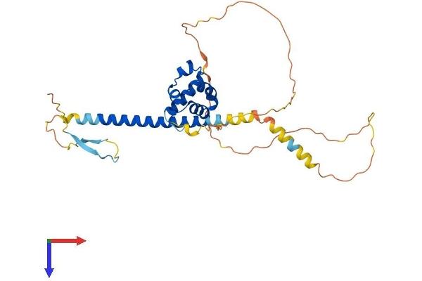 SCML1 Protein (AA 1-329) (His tag)