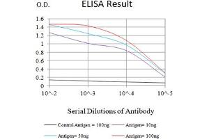 ELISA image for anti-Tumor Necrosis Factor Receptor Superfamily, Member 13B (TNFRSF13B) antibody (ABIN7193634)