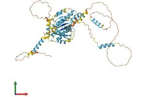 Protein Structure (PS) image for Dynein, Cytoplasmic 1, Light Intermediate Chain 2 (DYNC1LI2) (AA 1-492) protein (His tag) (ABIN7547028)