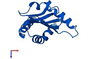 MAPKSP1 Protein (AA 1-124) (His tag)