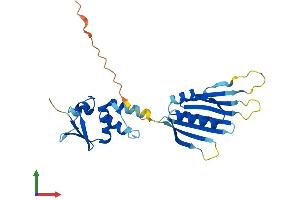 Protein Structure (PS) image for Potassium Channel Regulator (KCNRG) (AA 1-264) protein (His tag) (ABIN7557012)
