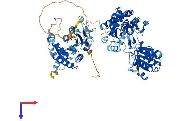 P5CS Protein (AA 1-795) (His tag)