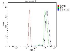 Flow Cytometry analysis of U937 cells using anti-DHODH antibody (ABIN7603140). (DHODH Antikörper  (N-Term))