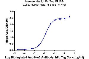 ELISA image for Receptor Tyrosine-Protein Kinase ErbB-3 (ERBB3) (AA 20-643) protein (Fc Tag) (ABIN7274797)