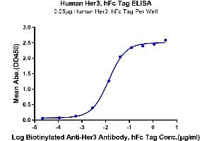 Immobilized Human Her3, hFc Tag at 0. (ERBB3 Protein (AA 20-643) (Fc Tag))