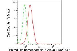 Flow cytometric analysis of paired like homeodomain 3 expression in HepG2 cells using paired like homeodomain 3 antibody (ABIN7799838), 1:2,000). (Rekombinanter PITX3 Antikörper)
