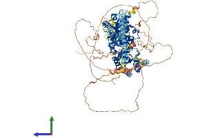 Protein Structure (PS) image for TBC1 Domain Family, Member 5 (TBC1D5) (AA 1-795) protein (His tag) (ABIN7555710)