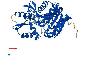 SERHL Protein (AA 1-311) (His tag)