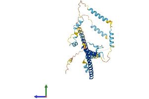 Protein Structure (PS) image for Fasciculation and Elongation Protein zeta 2 (Zygin II) (FEZ2) (AA 1-348) protein (His tag) (ABIN7558112)