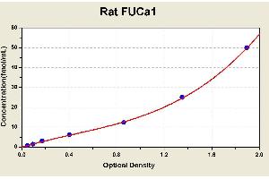 Diagramm of the ELISA kit to detect Rat FUCa1with the optical density on the x-axis and the concentration on the y-axis. (FUCA1 ELISA Kit)