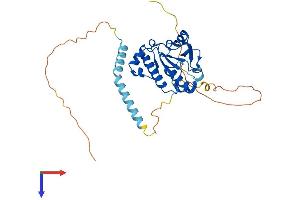 RG9MTD2 Protein (AA 1-328) (His tag)