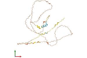 AlphaFold protein structure predicition of Human Recombinant C12orf42 Protein, UniprotID Q96LP6