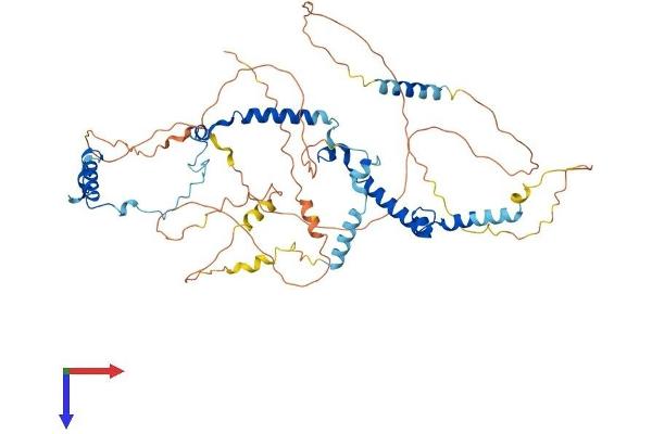 PHACTR1 Protein (AA 1-580) (His tag)