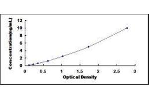 ELISA image for Diaphanous Homolog 1 (DIAPH1) ELISA Kit (ABIN423864)