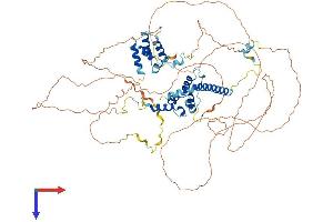 TCEB3 Protein (AA 1-773) (His tag)
