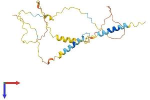 LAT2 Protein (AA 1-243) (His tag)