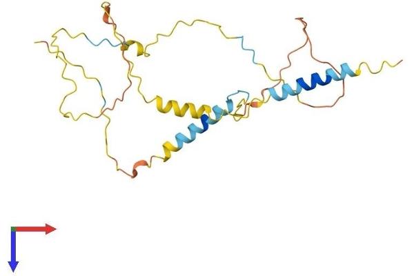 LAT2 Protein (AA 1-243) (His tag)