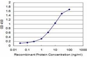 Detection limit for recombinant GST tagged CDC42BPB is approximately 0. (CDC42BPB Antikörper  (AA 1580-1679))