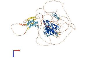 PDE3A Protein (AA 1-1141) (His tag)