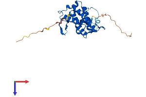 MOB2 Protein (AA 1-237) (His tag)