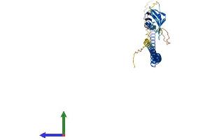 Protein Structure (PS) image for Breast Cancer Metastasis-Suppressor 1-Like (BRMS1L) (AA 1-323) protein (His tag) (ABIN7557128)