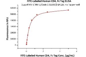 Immobilized HIV-1 [HIV-1/Clade C (16055)] GP120, His Tag (4) at 2 μg/mL (100 μL/well) can bind Fed Human CD4, Fc Tag (ABIN6923184,ABIN6938828) with a linear range of 0. (CD4 Protein (CD4) (AA 26-396) (Fc Tag,FITC))