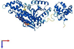 EHD1 Protein (AA 1-534) (His tag)