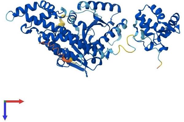 EHD1 Protein (AA 1-534) (His tag)