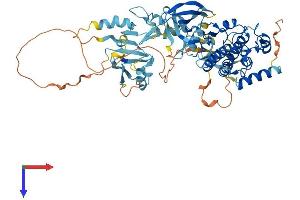 LIM Domain Kinase 1 Protein (LIMK1) (AA 1-647) (His tag)