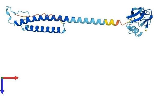 PSMD9 Protein (AA 1-223) (His tag)