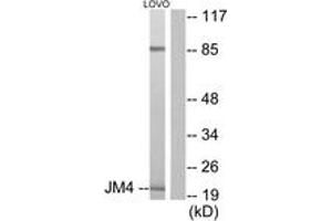 Western Blotting (WB) image for anti-PRA1 Domain Family, Member 2 (PRAF2) (AA 129-178) antibody (ABIN2879126) (PRAF2 Antikörper  (AA 129-178))