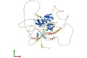 Protein Structure (PS) image for erythrocyte Membrane Protein Band 4.1-Like 1 (EPB41L1) (AA 1-879) protein (His tag) (ABIN7565299)