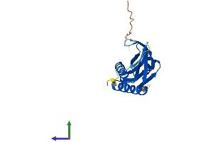 Protein Structure (PS) image for Molybdenum Cofactor Synthesis 2 (MOCS2) (AA 1-189) protein (His tag) (ABIN7556405)
