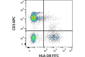 Flow cytometry multicolor surface staining pattern of human lymphocytes using anti-human HLA-DR (MEM-12) FITC antibody (20 μL reagent / 100 μL of peripheral whole blood) and anti-human CD3 (UCHT1) APC antibody (10 μL reagent / 100 μL of peripheral whole blood). (HLA-DR Antikörper  (FITC))