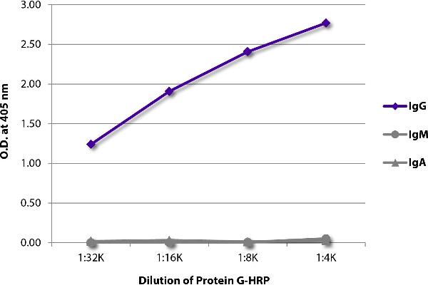 Protein G Protein