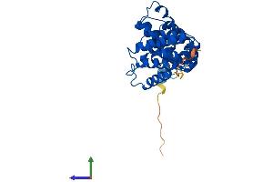 Protein Structure (PS) image for RCD1 Required For Cell Differentiation1 Homolog (RQCD1) (AA 1-299) protein (His tag) (ABIN7555168)