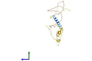 AlphaFold protein structure predicition of Human Recombinant CALY Protein, UniprotID Q9NYX4